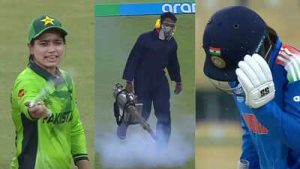 Bugs attack! India-Pakistan match paused momentarily for bizarre reason