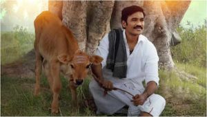 'Idli Kadai' OTT release: Dhanush’s film to stream on THIS platform - Reports