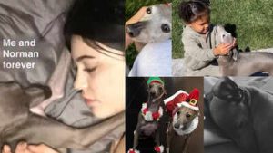 Kylie Jenner mourns her dog, Norman; ‘I had never loved anything so much’