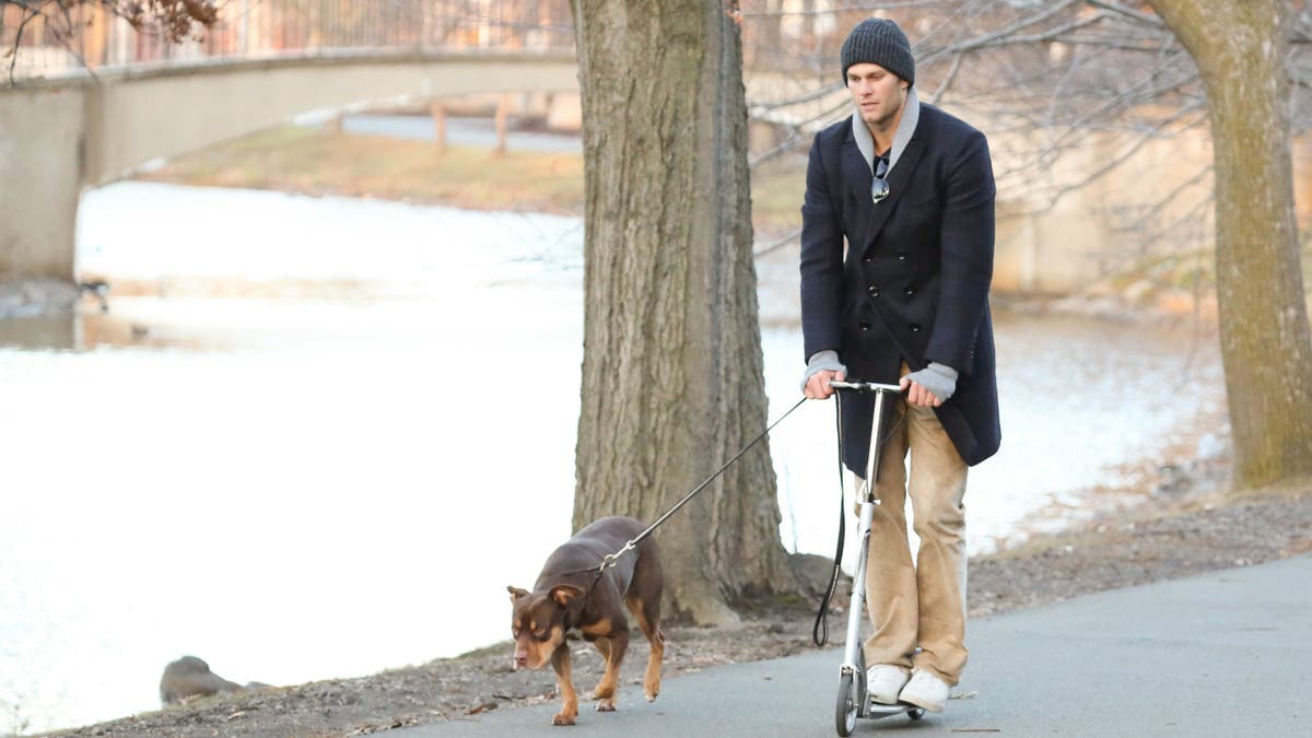 Tom Brady rides scooter with dog, Lua.